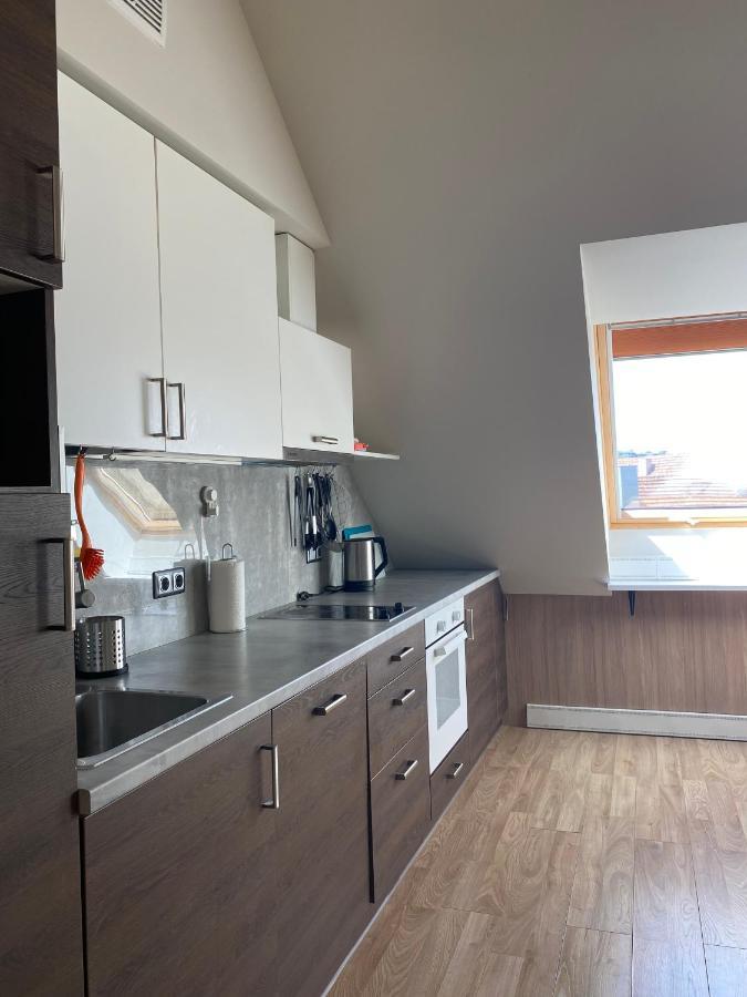 Old Town View Apartment فيلنيوس المظهر الخارجي الصورة
